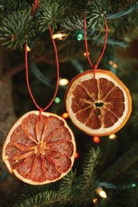 DIY Citrus Garland Image